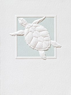 Sea Turtle Splash Blank Cards Boxed Set of 9