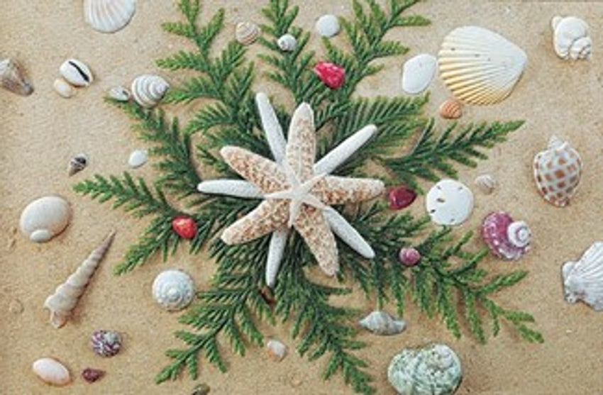 Seaside Stars Boxed Cards Set of 16
